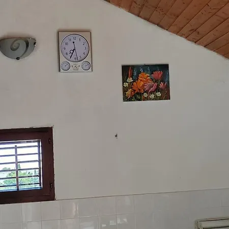 Apartment Bernardica